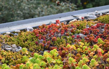 the cost of Seaureaugh Moor green roof installation