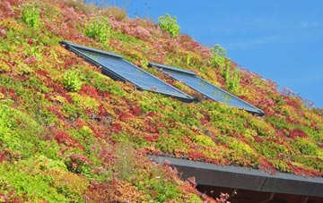 Seaureaugh Moor living roof systems