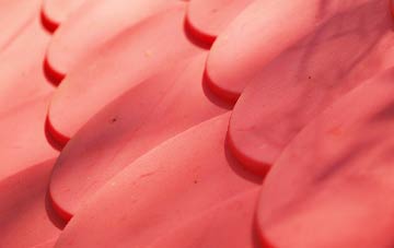 Seaureaugh Moor plastic roof costs